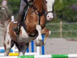 IMG_0663_web